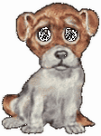 pic for Puppy  